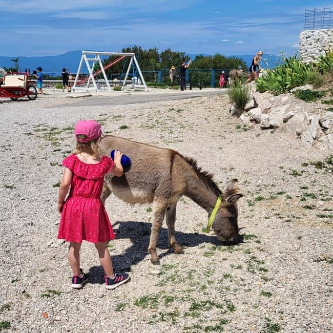 Šmrika (near Rijeka/Krk/Crikvenica) Donkey Farm Family Fun - Meeting the donkeys in Šmrika