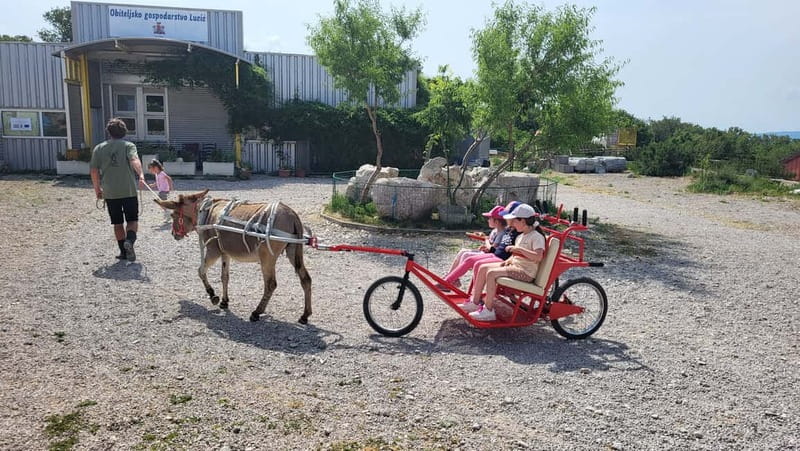 Šmrika (near Rijeka/Krk/Crikvenica) Donkey Farm Family Fun - Taking a turn with the donkey carriage