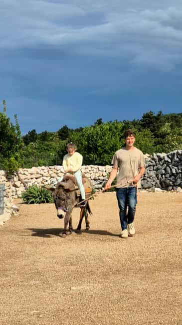 Šmrika (near Rijeka/Krk/Crikvenica) Donkey Farm Family Fun - Learning about Croatia’s endangered donkeys