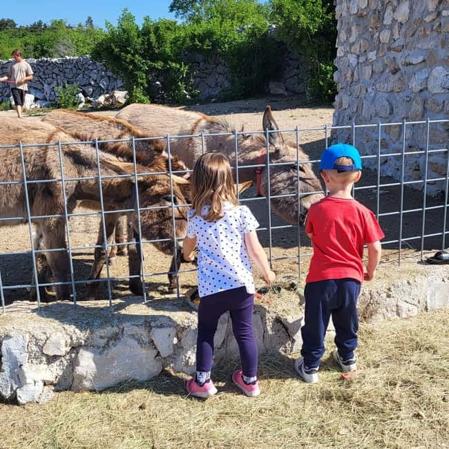 Šmrika (near Rijeka/Krk/Crikvenica) Donkey Farm Family Fun - What the $9 price really covers