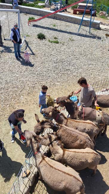Šmrika (near Rijeka/Krk/Crikvenica) Donkey Farm Family Fun - Timing, weather, and practical planning