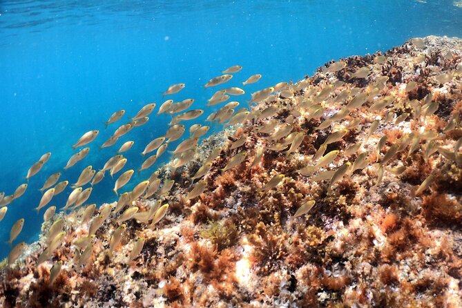 SNORKELING ADVENTURE | Pula Boat - Coastal views between the water stops