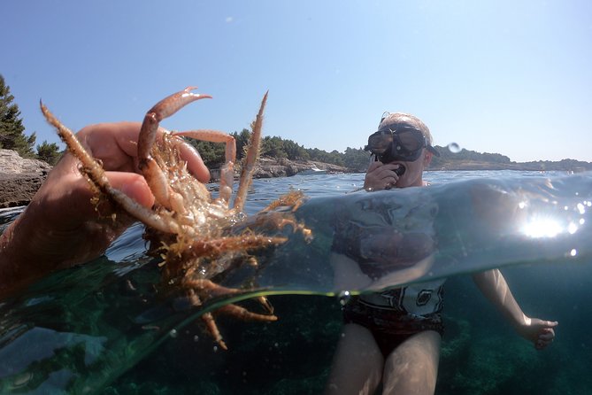 SNORKELING ADVENTURE | Pula Boat - Timing, cancellations, and simple ways to avoid trouble
