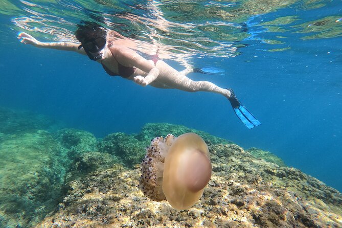 SNORKELING ADVENTURE | Pula Boat - Sea caves, reefs, and the old shipwreck