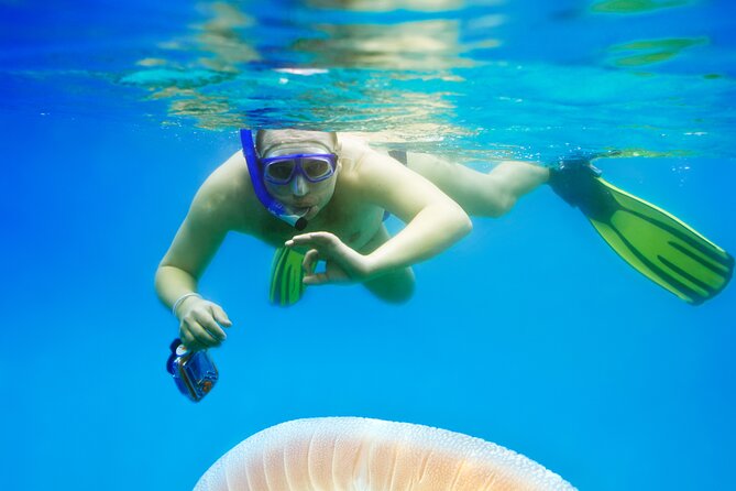 Snorkeling tour Makarska Riviera, islands of Hvar or Brač - The mixed snorkeler and diver question