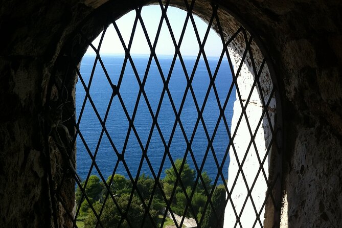 Southern Istria guided tour - Vodnjan and the olive oil connection