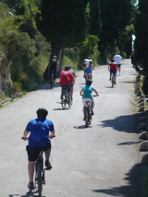 Split 3-Hour Guided Bike Tour - Riding into Marjan’s pine shade