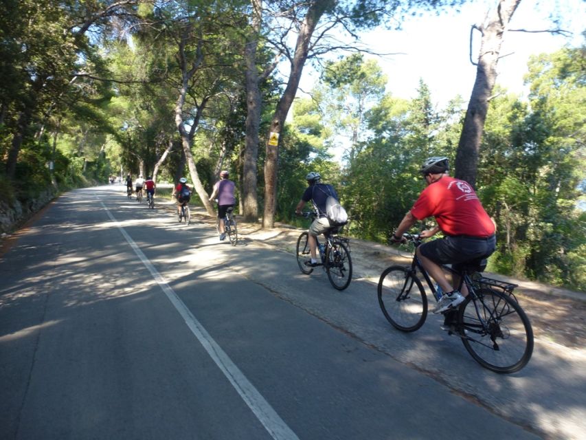 Split 3-Hour Guided Bike Tour - The 178-meter climb and Vidilica views