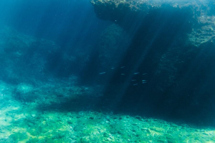Split: 45-minute Semi-Submersible Submarine Trip - Is $20 per person good value?