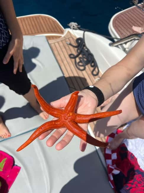 Split: 5 Islands Full-Day Tour to Blue Cave, Vis & Hvar - One long Adriatic day from Split