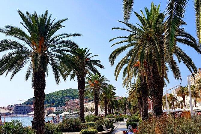 Split and Ston private tour or transfer - What the strongest praise tells you