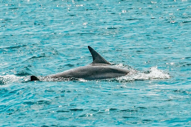 Split: Blue Lagoon & 3 Island Cruise with Wine & Snorkeling - What this Split boat trip is really like