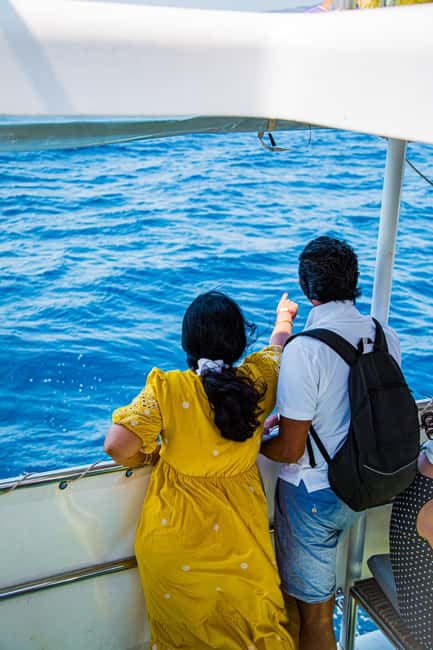 Split: Blue Lagoon, 3Islands, Boat Trip, Mediterranean lunch - Should you book the St. Damian island cruise?