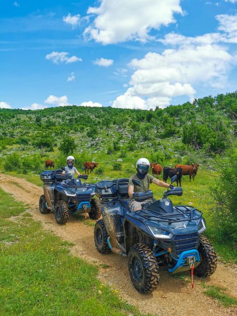 Split: Dalmatian Quad Tour with River Swimming & Picnic - Quick reasons to choose this Dalmatian quad ride