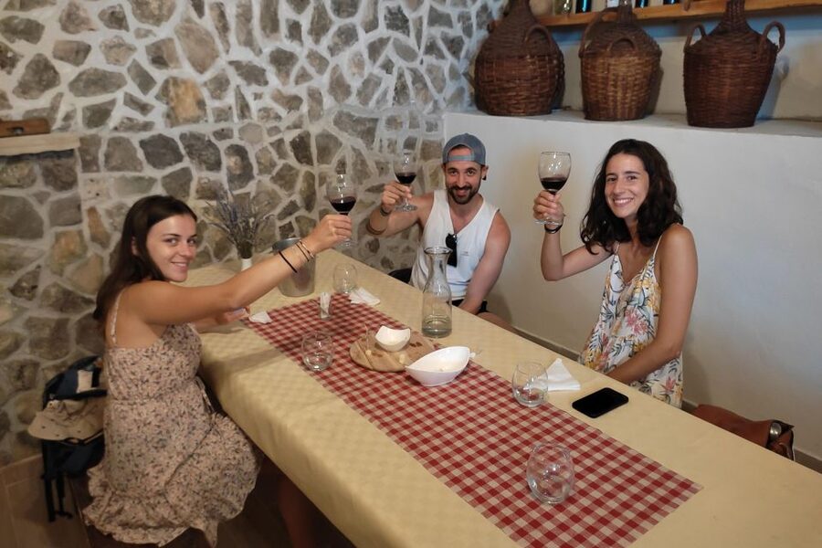 Split: Krka National Park Full-Day Tour with Wine Tasting - Plastovo wine tasting and local food