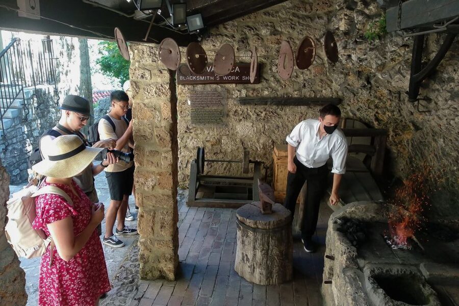 Split: Krka National Park Full-Day Tour with Wine Tasting - Who should choose this tour?