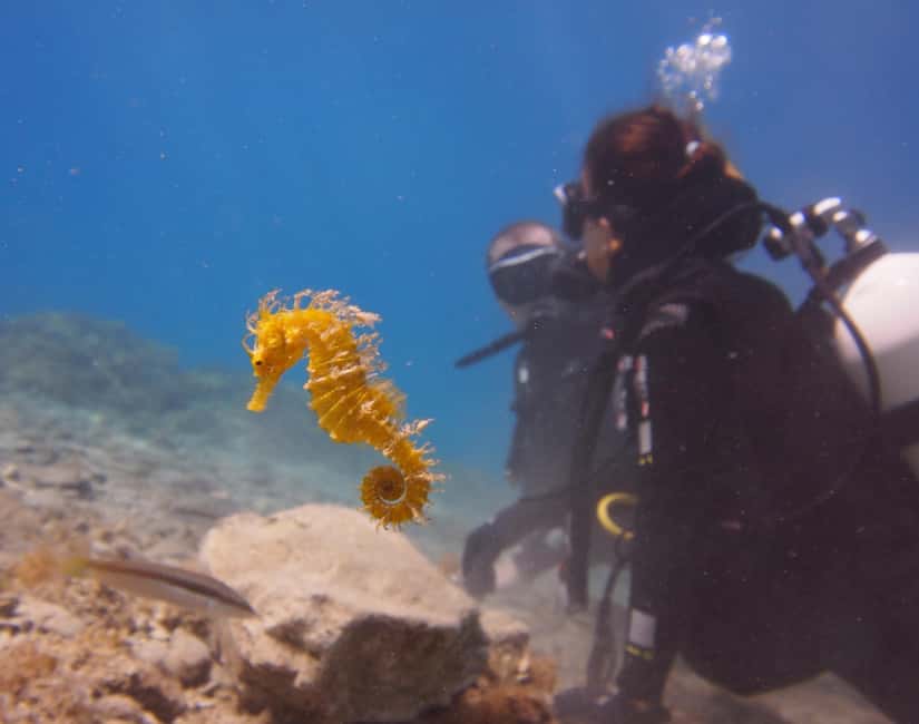 Split-Makarska-Brela Try SCUBA Dive - Why this Brela scuba session feels different