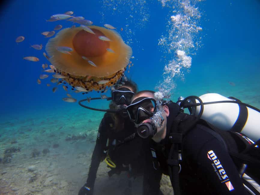 Split-Makarska-Brela Try SCUBA Dive - The briefing takes the pressure off