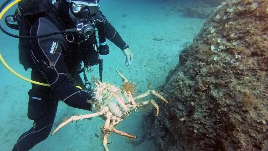 Split-Makarska-Brela Try SCUBA Dive - Entering the Adriatic from the home reef