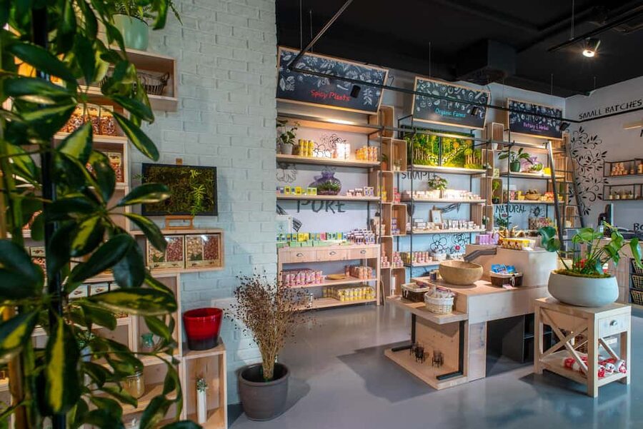 Split: Olive museum Klis with Olive Oil Tasting - Walking through a 500-species botanical collection