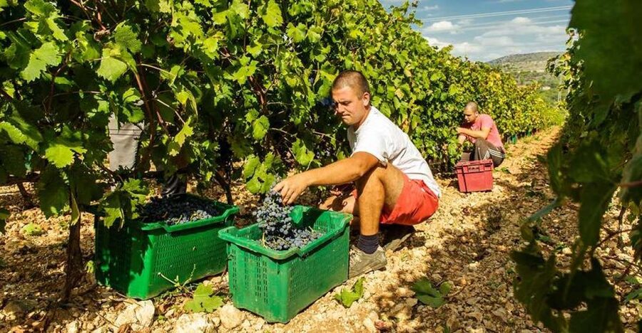 Split or Trogir: Krka Waterfalls & Wine and Food tasting - What the park fee really means