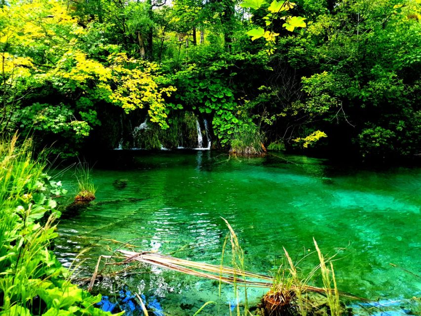 Split: Plitvice Lakes Guided Day Tour with Entry Tickets - What the $116 price buys you