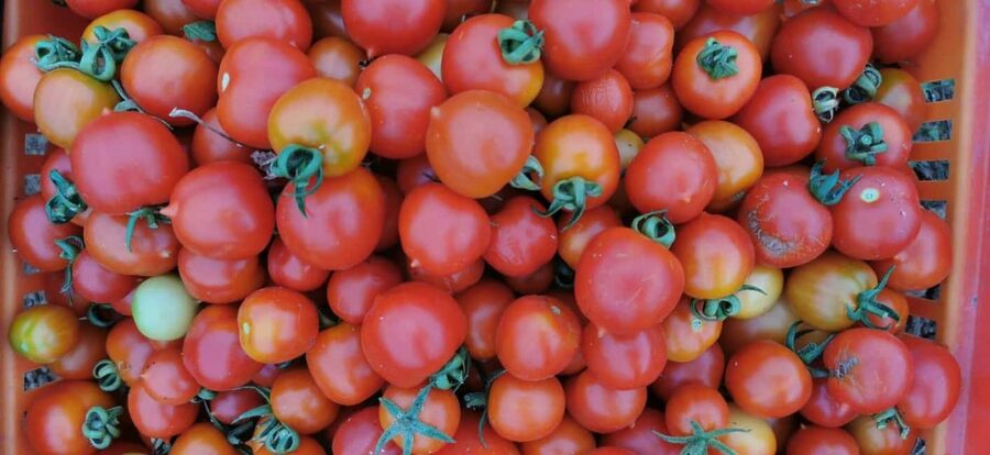 Split; Private Morning Walking Tour in Split - Pazar market and everyday Dalmatia