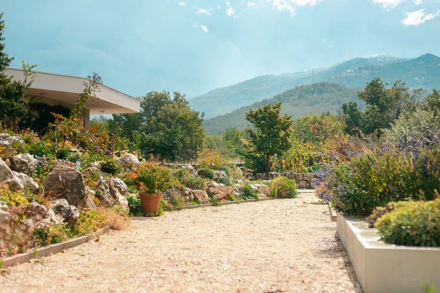 Split: Private tour to Klis Fortress and Vranjača cave - Stella Croatica: olive oil, gardens, and sweet local products