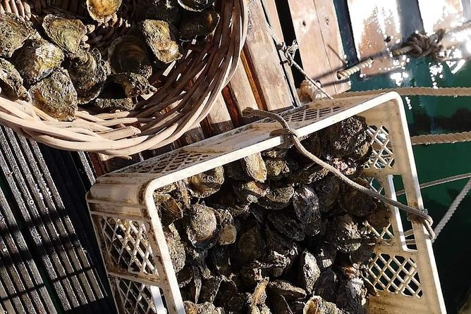 Ston Gastro Tour - What lunch adds to the value