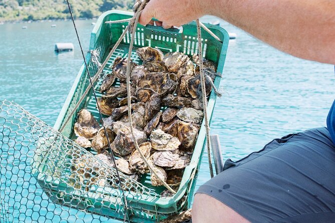 Ston Gastro Tour - Should you book it?