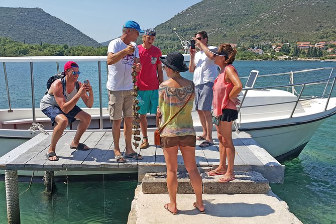 Ston Oysters & Wine Tasting Tour from Dubrovnik - Key points at a glance
