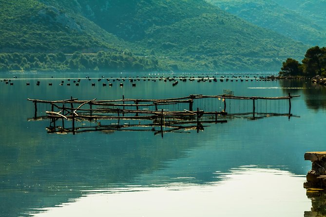 Ston Oysters & Wine Tasting Tour from Dubrovnik - Wine tasting at Vinarija Ćurlin