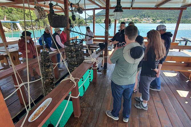 Ston Oysters & Wine Tasting Tour from Dubrovnik - Timing, pickup, and group comfort