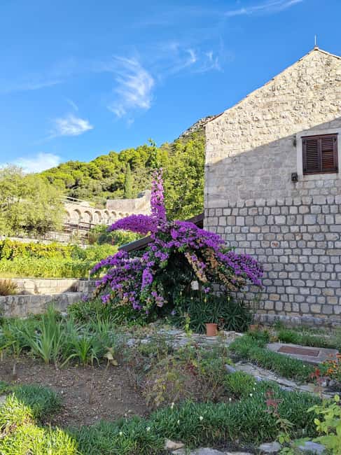 Ston private walking tour with the walls and saltworks visit - Booking flexibility and the small practical details