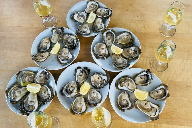 Ston Seafood & Pelješa Wine Boat Tour with Oysters and Mussels - Ston walls, salt lakes, and limited free time