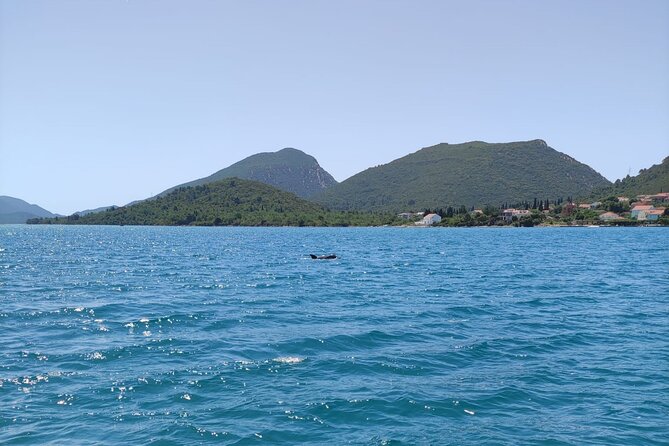 Ston Seafood & Pelješa Wine Boat Tour with Oysters and Mussels - The drive from Dubrovnik changes the value equation
