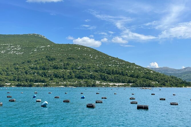 Ston Seafood & Pelješa Wine Boat Tour with Oysters and Mussels - A small group makes the food stop better
