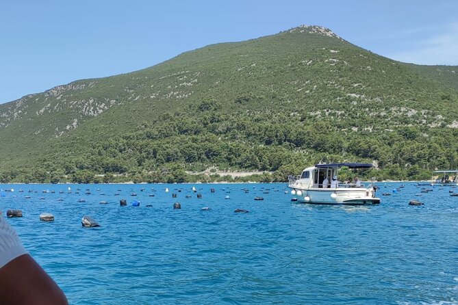 Ston Seafood & Pelješa Wine Boat Tour with Oysters and Mussels - Is the $180.72 price fair?