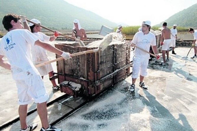Ston Tour: City Walls, Saltworks, Wine & Adriatic Seafood - Mali Ston Bay and the oyster-farm choice