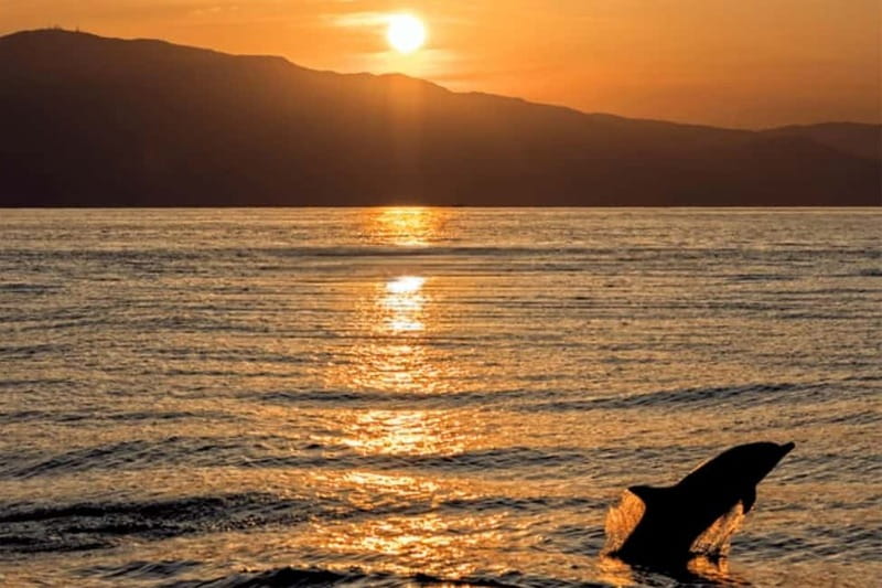 Sunset Dolphin Cruise with Dinner – Medulin Archipelago - Why the Medulin archipelago works so well at sunset