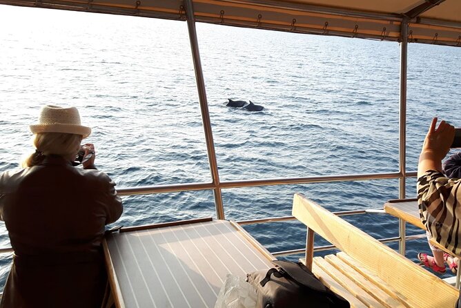 Sunset Dolphin Watching Boat Tour from Vrsar - Getting the best seat and best photos
