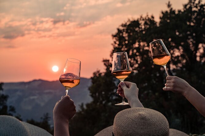 Sunset wine tasting in vineyard - A vineyard sunset 15 minutes from Dubrovnik