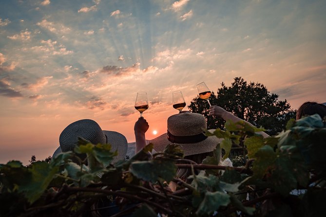 Sunset wine tasting in vineyard - Who will enjoy this evening most