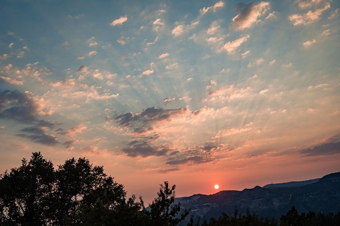 Sunset wine tasting in vineyard - Booking, weather, and small practical points