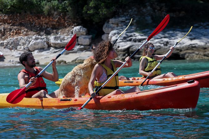 Supetar-Postira kayaking - Pine woods, olive groves, and handmade walls