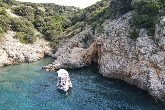 Swimming and Snorkeling on the Wild Bays 3.5 Hours (PUBLIC) - Snorkeling, cliff jumps, and dolphin luck