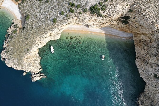 Swimming and Snorkeling on the Wild Bays 3.5 Hours (PUBLIC) - Choosing between Fox, Bishop, and Golden bays