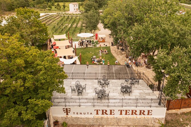 Taste of Istria - wine, brandy, vinegar, local food - Key points to know before booking