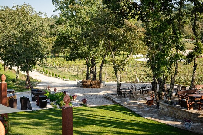 Taste of Istria - wine, brandy, vinegar, local food - Three vinegars, three wines, and three small bites