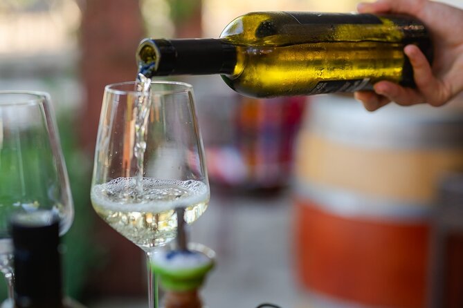 Taste of Istria - wine, brandy, vinegar, local food - What the small group changes